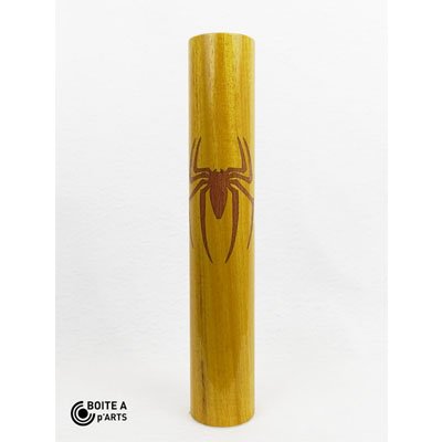 Araignee-1.jpg Araignée chêne