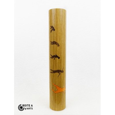 Evolution-5.jpg Evolution 5